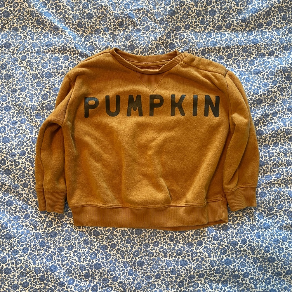Little Co Pumpkin Sweatshirt Size 12M
